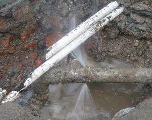 苏尼特右水管维修费用是多少