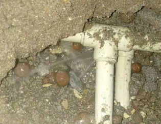 苏尼特右卫生间测漏