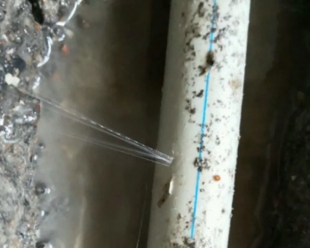 苏尼特右卫生间测漏水多少钱