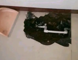 苏尼特右卫生间测漏水多少钱